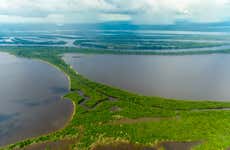 Tour: Foresta Amazzonica e arcipelago Anavilhanas