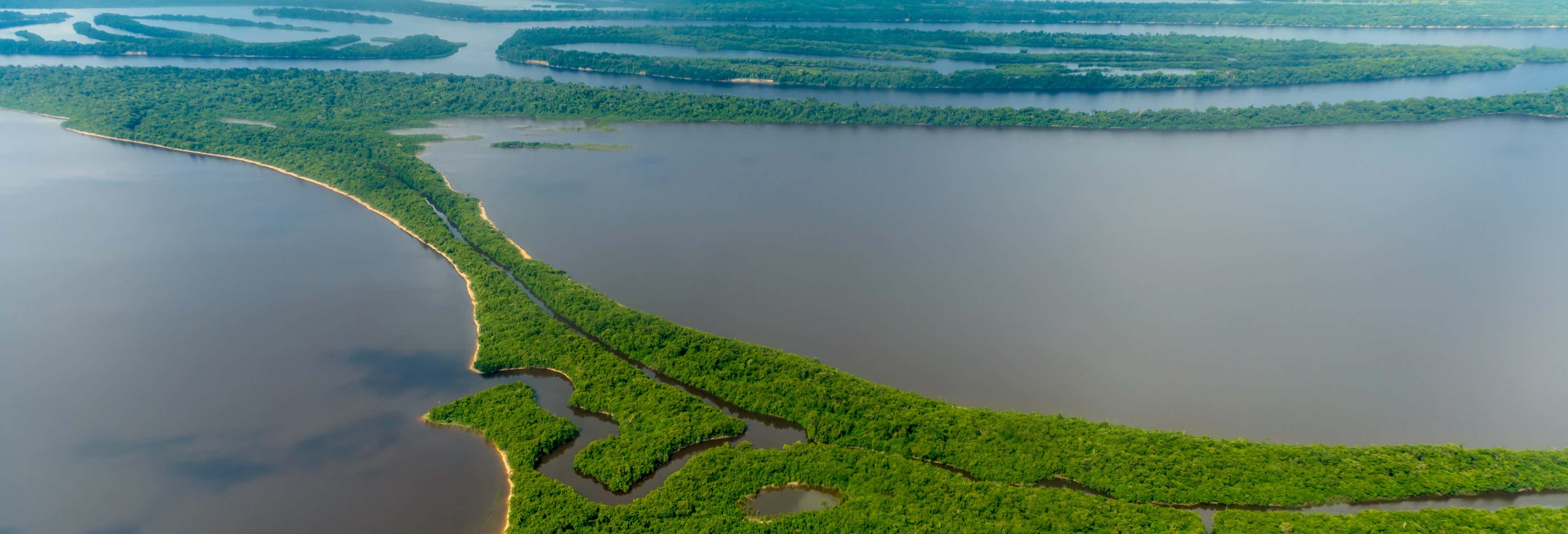 Tour pela floresta amazônica e ilhas Anavilhanas