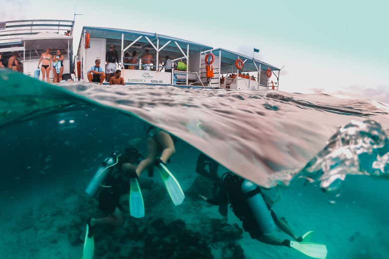 Paseo en barco con snorkel en el arrecife de Maracajaú, Maracajaú