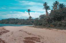 Escursione all'isola di Boipeba