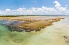 Excursión a la playa de Garapuá