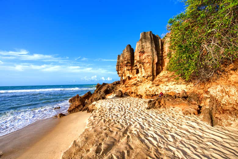 Excursão a São Miguel do Gostoso saindo de Natal Excursão a São Miguel do Gostoso saindo de Natal