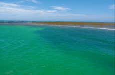 Excursão ao parque Marinho do Recife de Fora