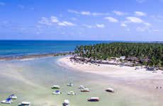 Excursão à praia dos Carneiros + Passeio de catamarã