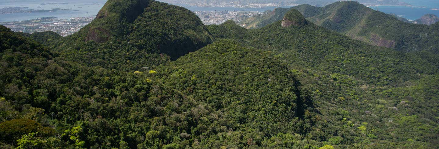 Tour en Jeep por el Parque Nacional Tijuca