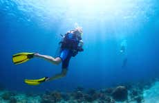 Buceo en la bahía de Todos los Santos