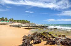 Excursion aux plages de Salvador de Bahia