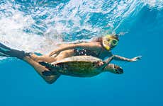 Snorkel con tortugas en Mindelo