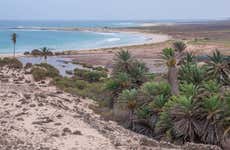 Tour por el noreste de Boa Vista + Playa de Ervatão