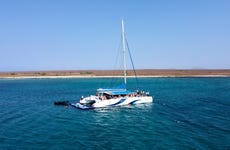 Balade en catamaran sur l'Île de Sal