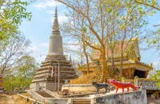 Escursione a privata Phnom Baset e Udong