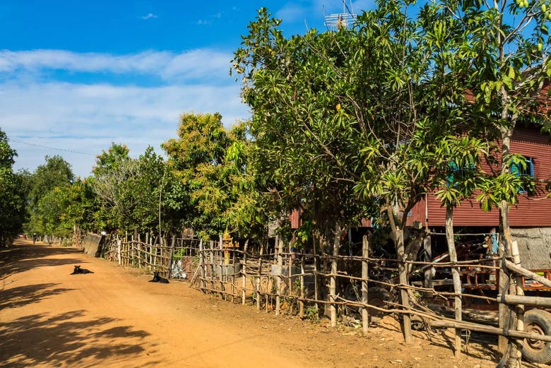 Traditional Cambodian village