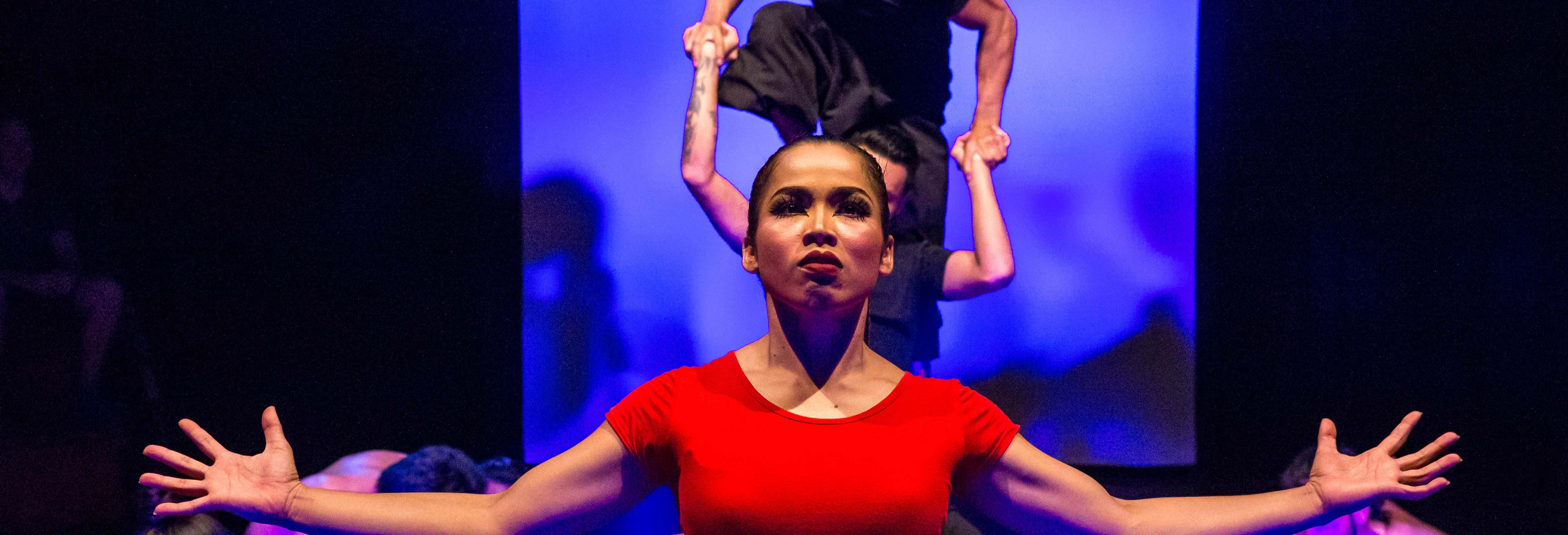 Entradas para Phare, The Cambodian Circus