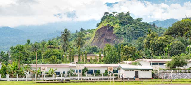 Excursión a Limbe
