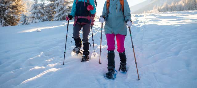 Balade en raquettes à neige à Banff