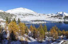 Passeggiata con le racchette da neve a Sunshine Meadows