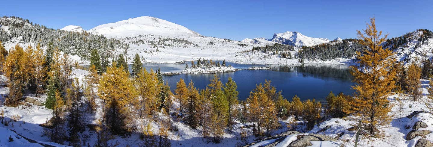 Balade en raquettes à neige à Sunshine Meadows
