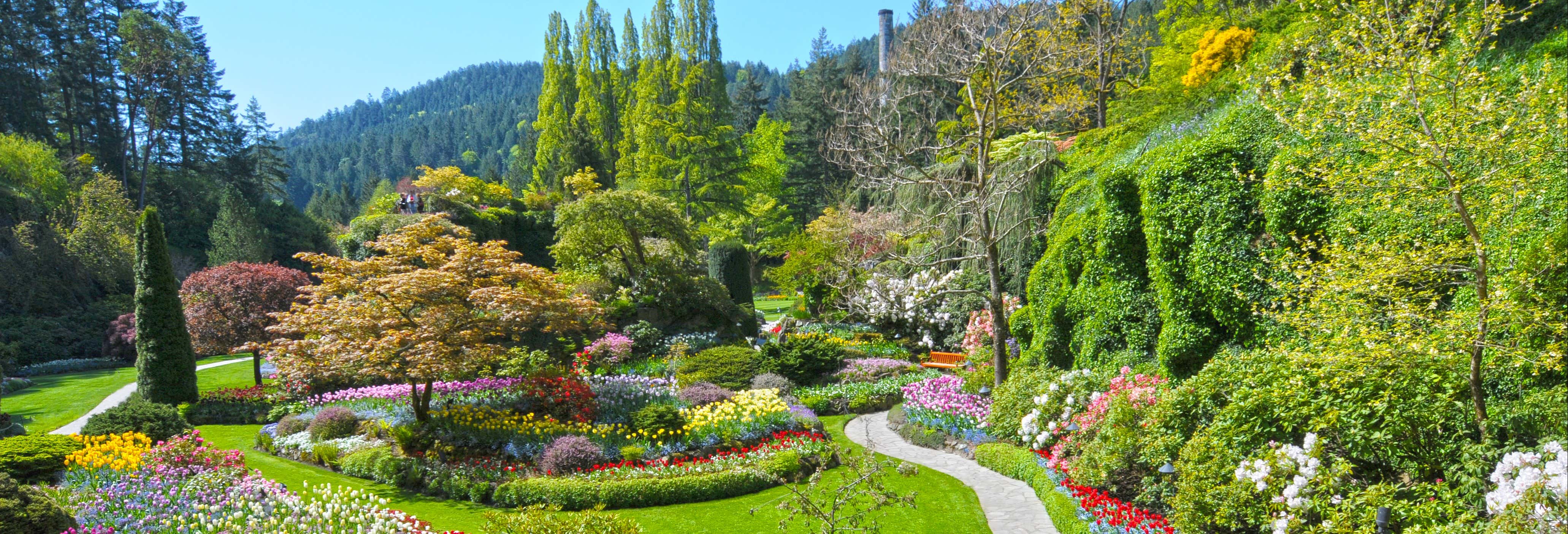 Excursión privada desde Vancouver