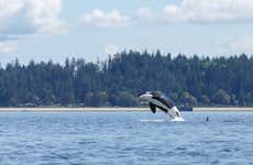 Excursión a Victoria con avistamiento de ballenas