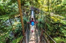 Ponte suspensa de Capilano e monte Grouse