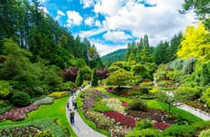 Butchart Gardens Tour