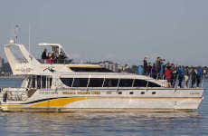 Passeio de barco pelo estreito de Juan de Fuca