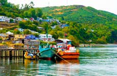 Tour por Ancud y Puñihuil