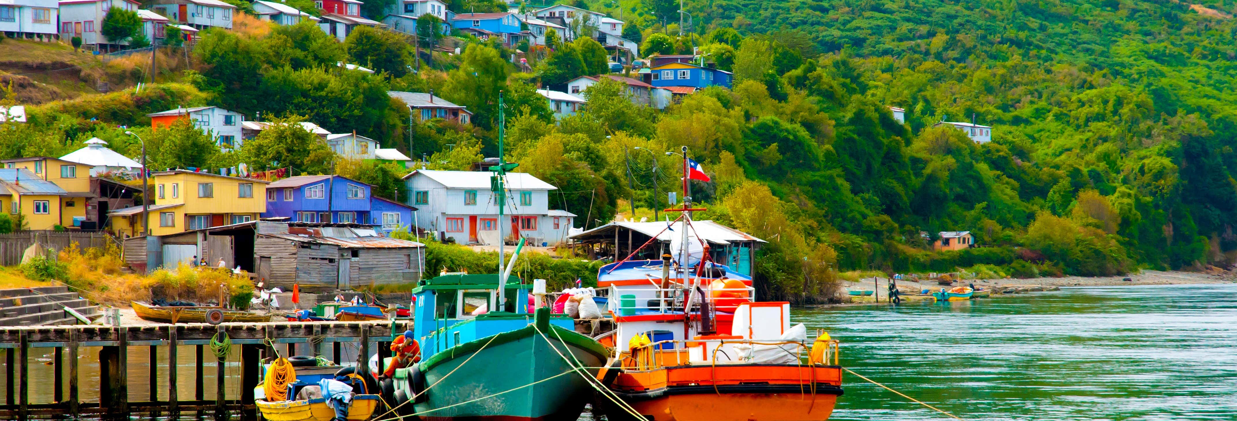 Tour por Ancud y Puñihuil