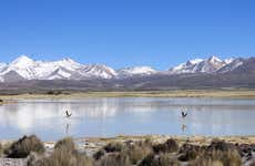 Tour de 6 días por la región comunitaria Aymara
