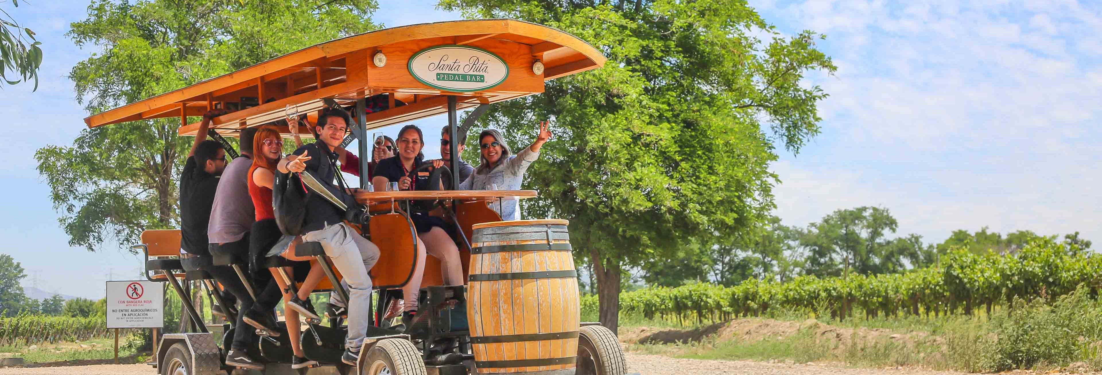 Tour de pedal bar pela Vinícola Santa Rita