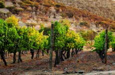Carmenere Wine Tour