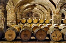 Visita della cantina Viña Santa Rita