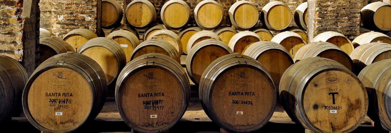 Visita a la bodega Viña Santa Rita