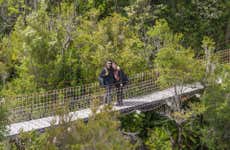 Excursión al Parque Tantauco