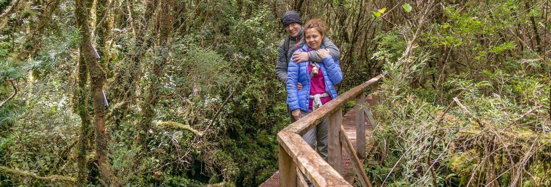Excursão ao Parque Tantauco