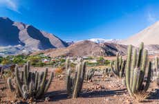 Visite privée de la vallée de l'Elqui
