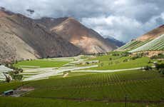 Tour pelo vale do Elqui