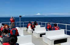 Lake Llanquihue Boat Trip