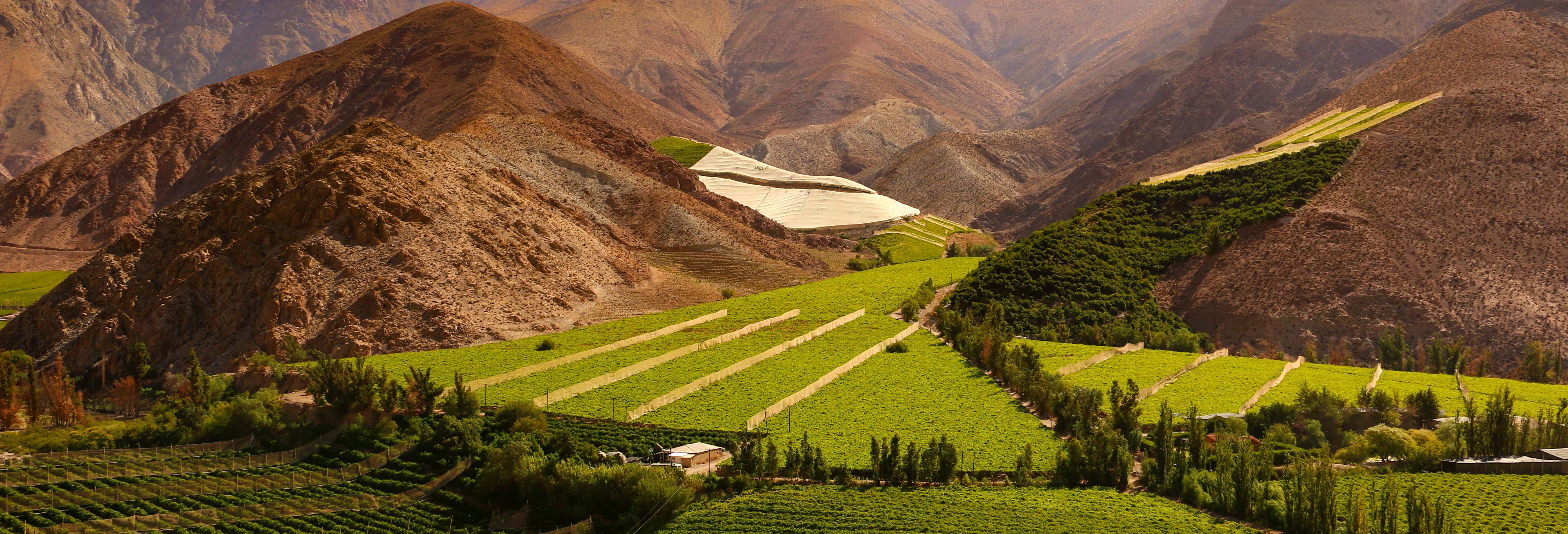 Tour privado por el valle del Elqui