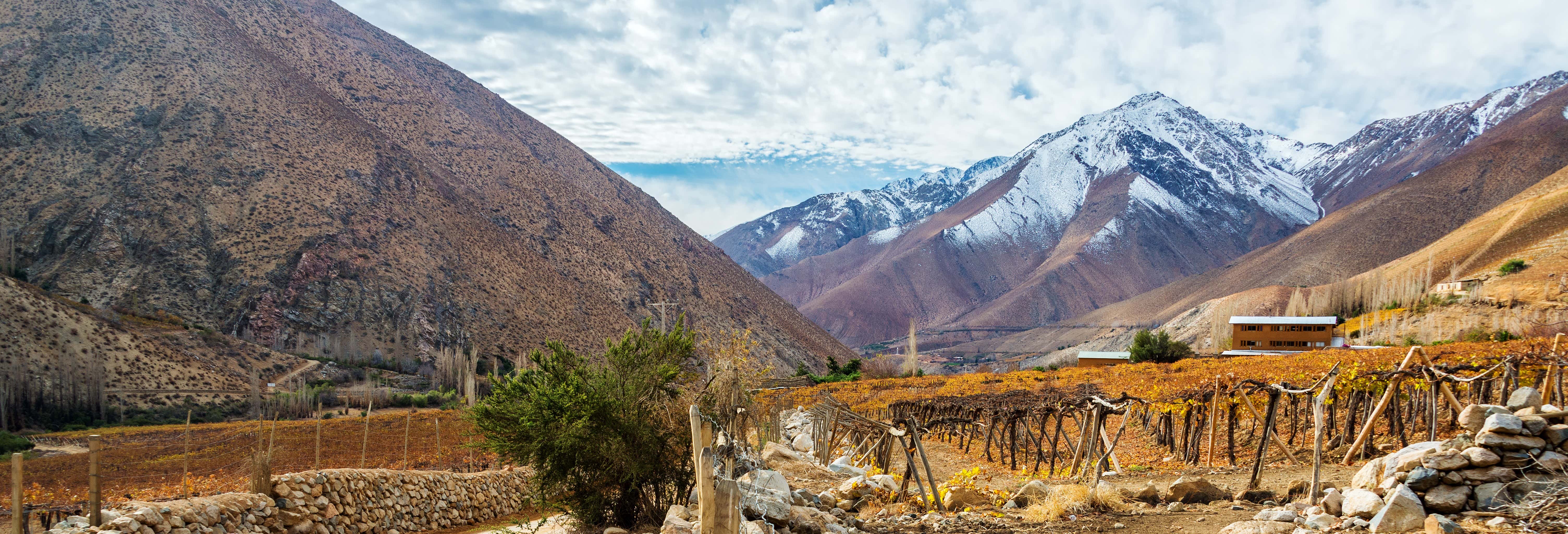 Tour por el valle del Elqui