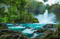 Excursión a la Reserva Huilo Huilo