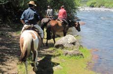 Paseo a caballo por la Reserva Nacional de Villarrica