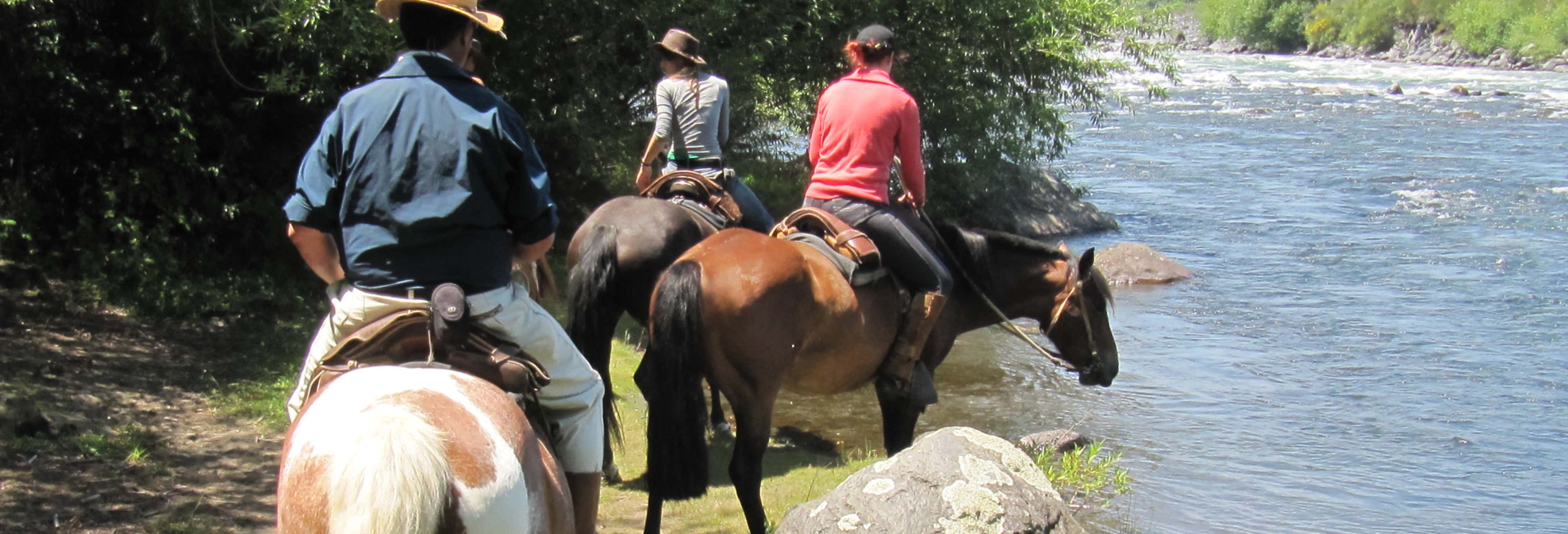 Paseo a caballo por la Reserva Nacional de Villarrica