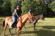 Passeggiata a cavallo in riva al fiume Liucura