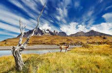 Safari nel Parco Nazionale Torres del Paine