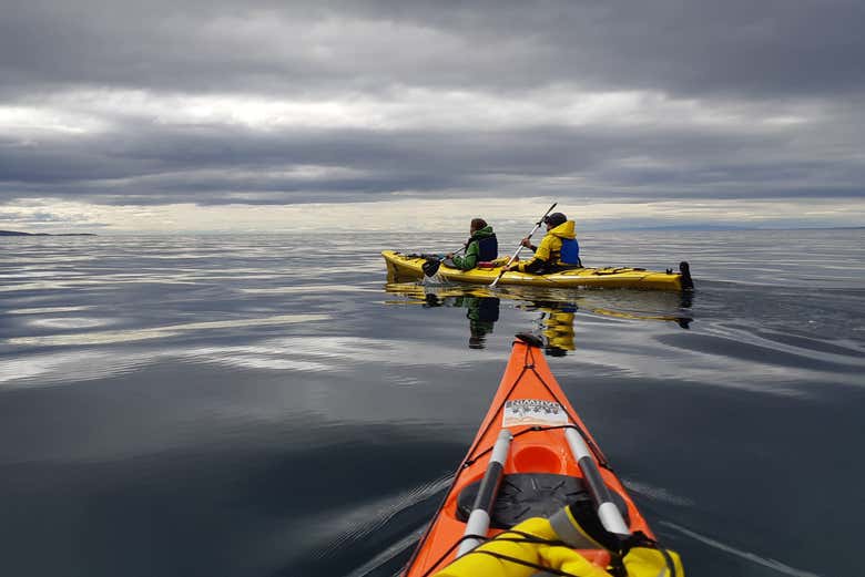 Tour en kayak hasta el faro San Isidro desde Punta Arenas