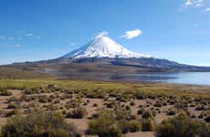 Excursão ao Parque Nacional Lauca
