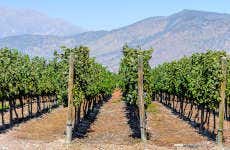 Excursion à Isla de Maipo pour les croisiéristes