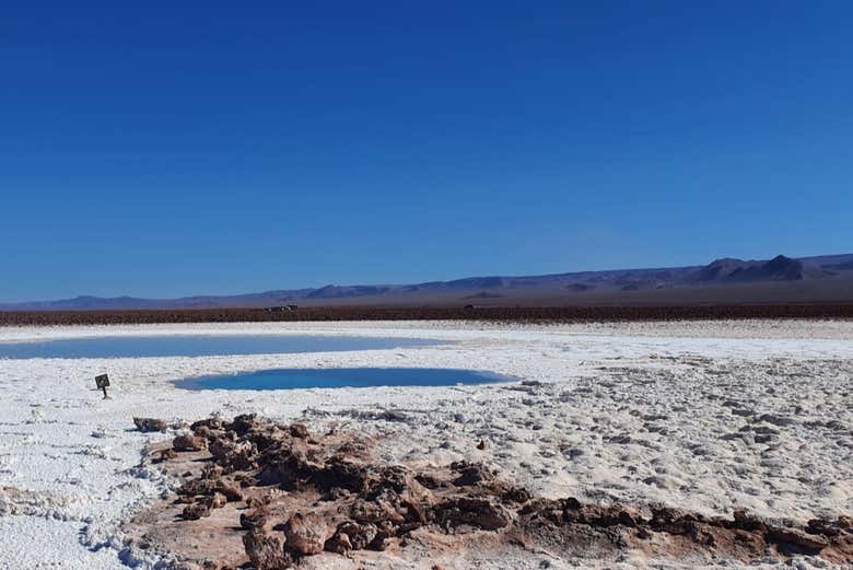 Excursión a las Lagunas Escondidas de Baltinache desde San Pedro de Atacama