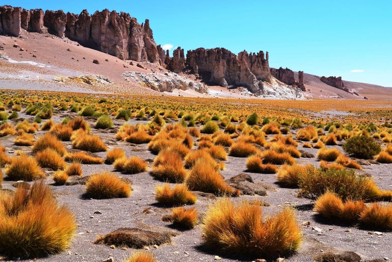 The arid landscapes of the salt flat